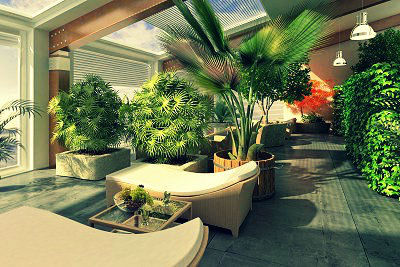 Un intérieur ensoleillé avec des plantes bien entretenues !