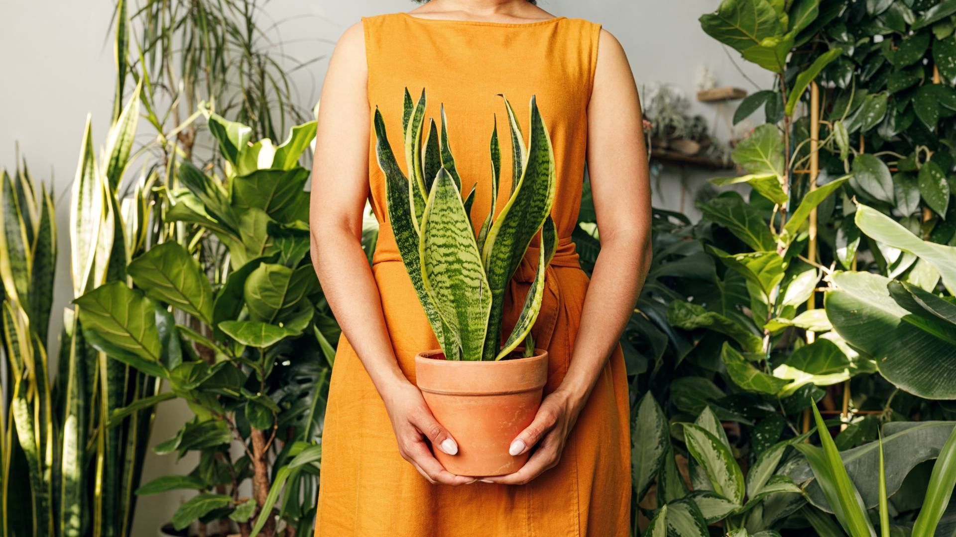 Femme avec des plantes