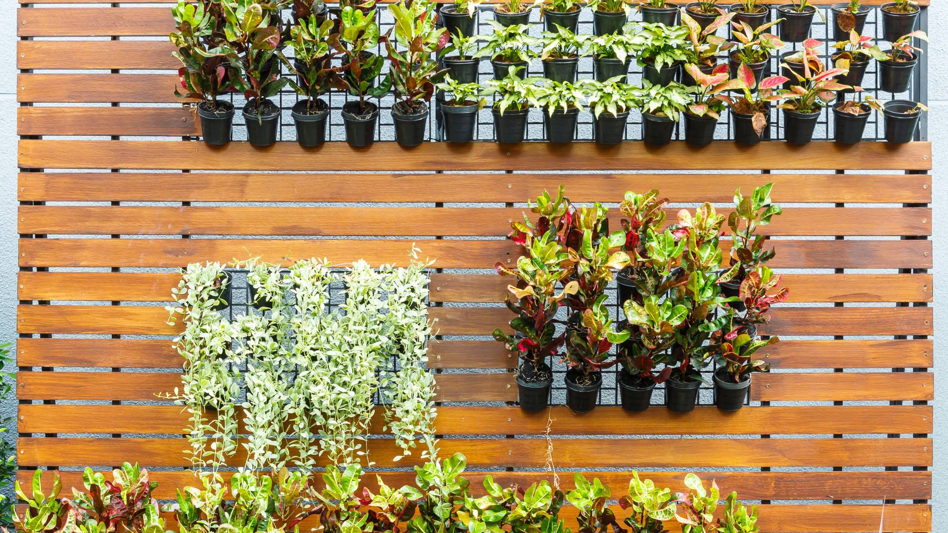 Jardin vertical
